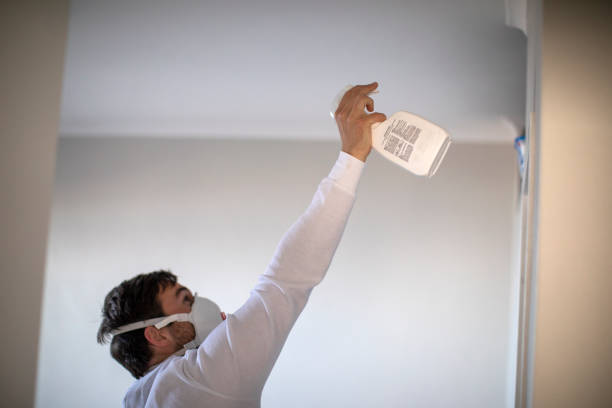 Best Professional Mold Removal  in Rio Rico, AZ