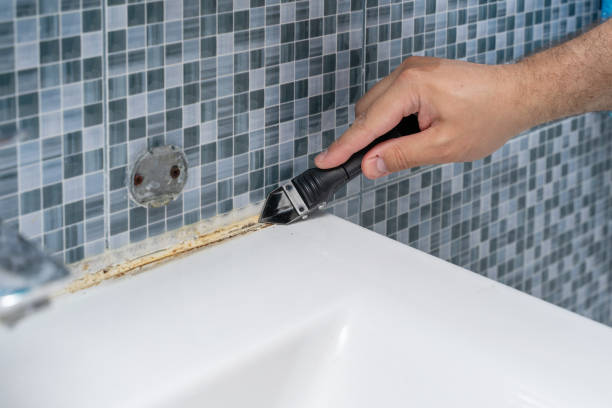 Best Emergency Mold Removal  in Rio Rico, AZ