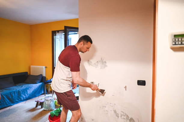 Best Mold Cleaning Services  in Rio Rico, AZ
